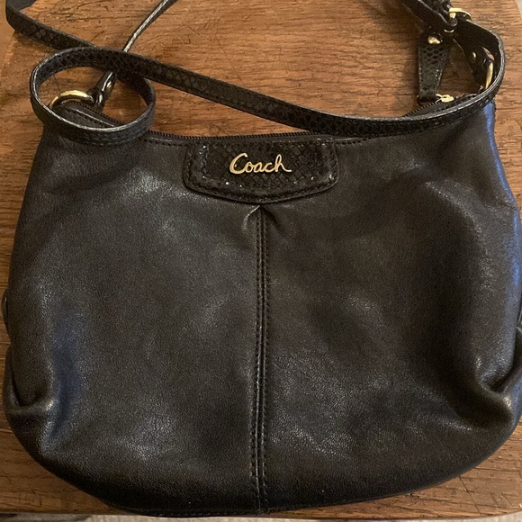 Coach Ashley Leather Swingpack Crossbody Bag EUC - Picture 1 of 8
